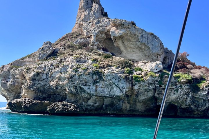 Katamarantur med stopp for bading og snorkling og en skål med Prosecco.