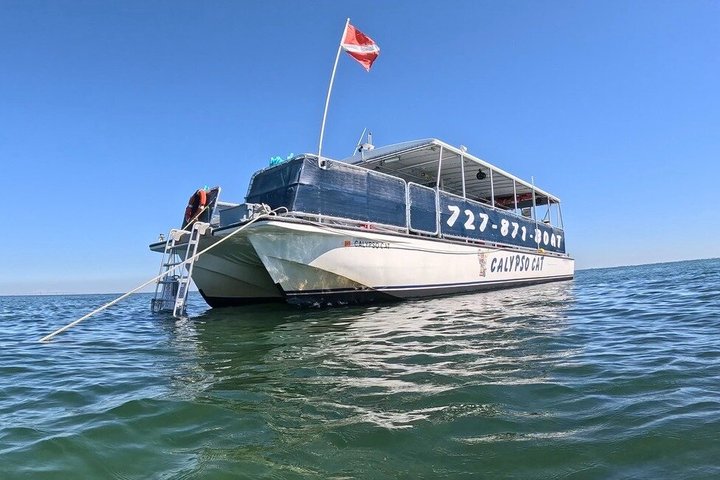 4-timers Egmont Key Island Tour med delfiner og snorkling inkluderet