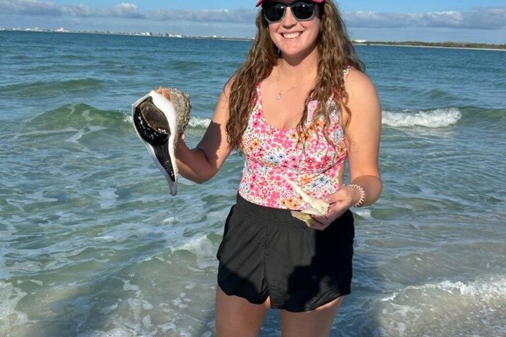 4-timers Egmont Key Island Tour med delfiner og snorkling inkluderet