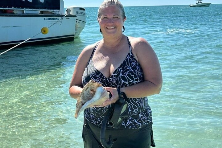 4-timers Egmont Key Island Tour med delfiner og snorkling inkluderet