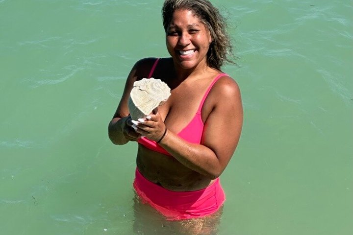 4-timers Egmont Key Island Tour med delfiner og snorkling inkluderet
