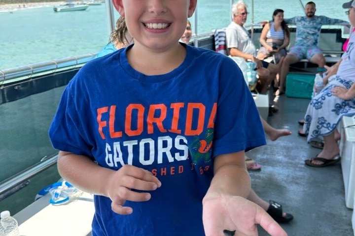 4-timers Egmont Key Island Tour med delfiner og snorkling inkluderet