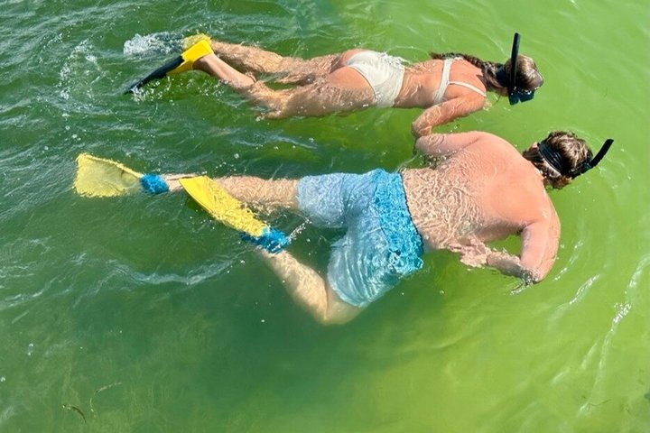 4-timers Egmont Key Island Tour med delfiner og snorkling inkluderet