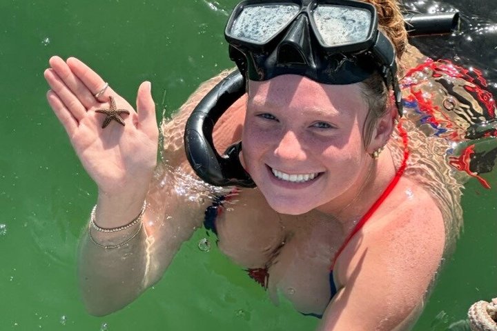 4-timers Egmont Key Island Tour med delfiner og snorkling inkluderet