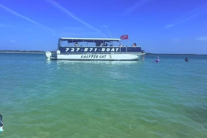 4-timers Egmont Key Island Tour med delfiner og snorkling inkluderet