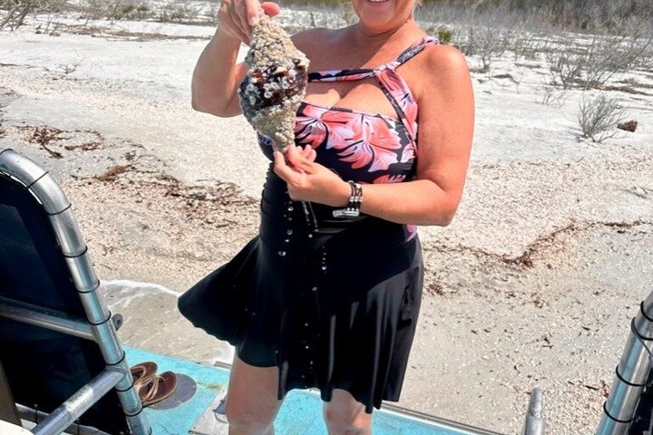 4-timers Egmont Key Island Tour med delfiner og snorkling inkluderet