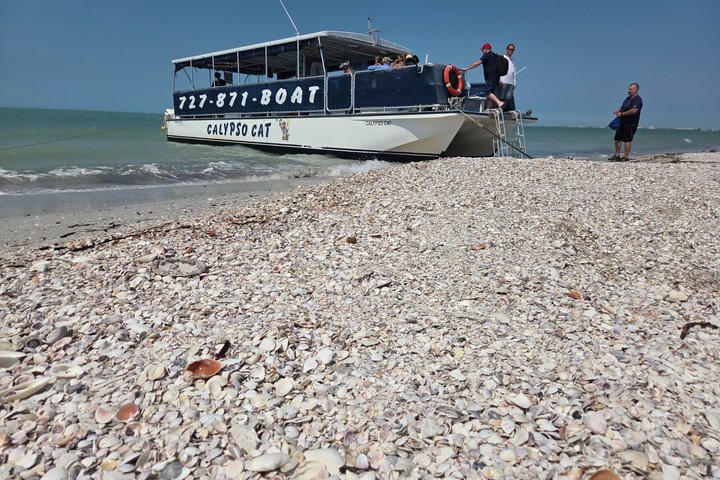 4-timers Egmont Key Island Tour med delfiner og snorkling inkluderet