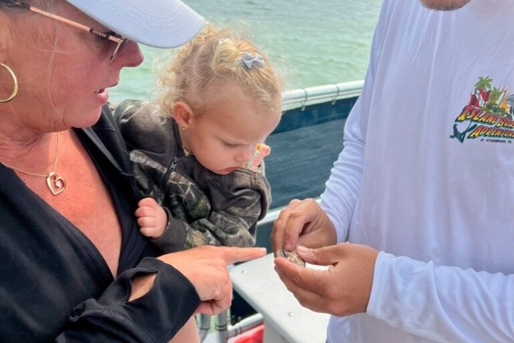 4-timers Egmont Key Island Tour med delfiner og snorkling inkluderet