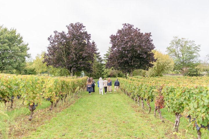 Degustazione di vino con il produttore di vino al Domaine Beaumont Distré-Saumur