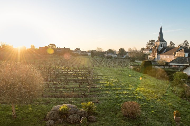 Degustazione di vino con il produttore di vino al Domaine Beaumont Distré-Saumur