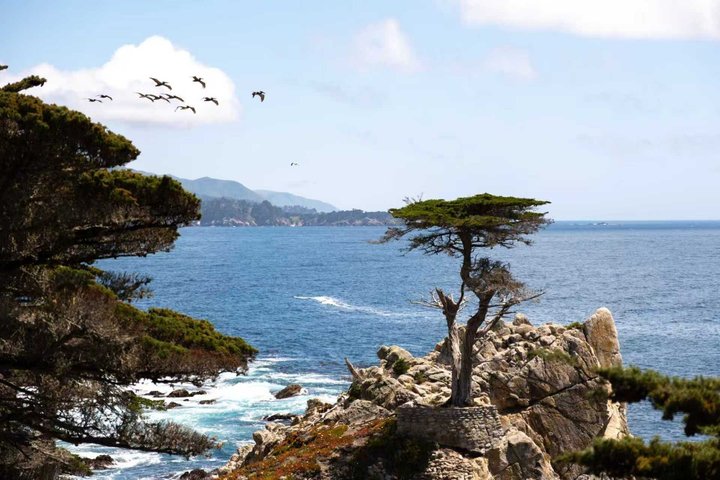 San Francisco, Yosemite & 17 - Mile Drive 3 - Tour di un giorno da LA