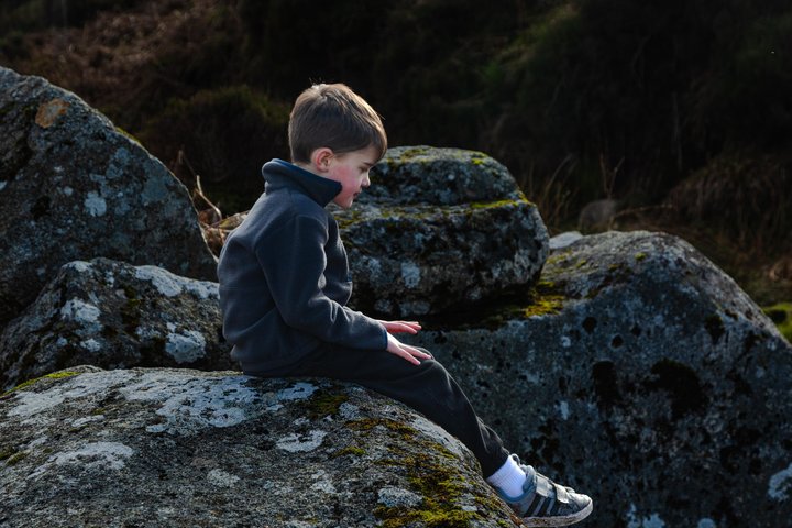 Privat dagstur i Wicklow-fjellene og feriefotografering
