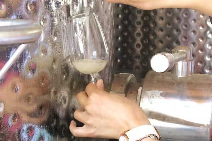 Troodos Mountains Vino Venture: Tour del vino di un'intera giornata