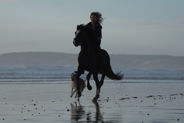 Paseos a caballo en Essaouira - Essaouira HorseRiding