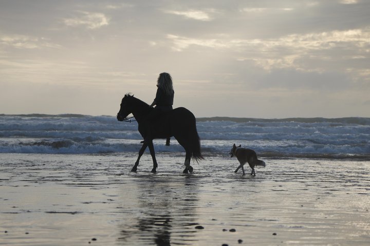 Paseos a caballo en Essaouira - Essaouira HorseRiding