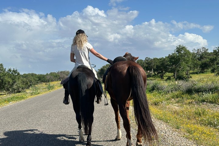 Paseos a caballo en Essaouira - Essaouira HorseRiding