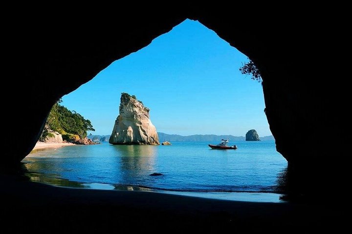 Cathedral Cove Scenic Cruises Explore cavernas e costa