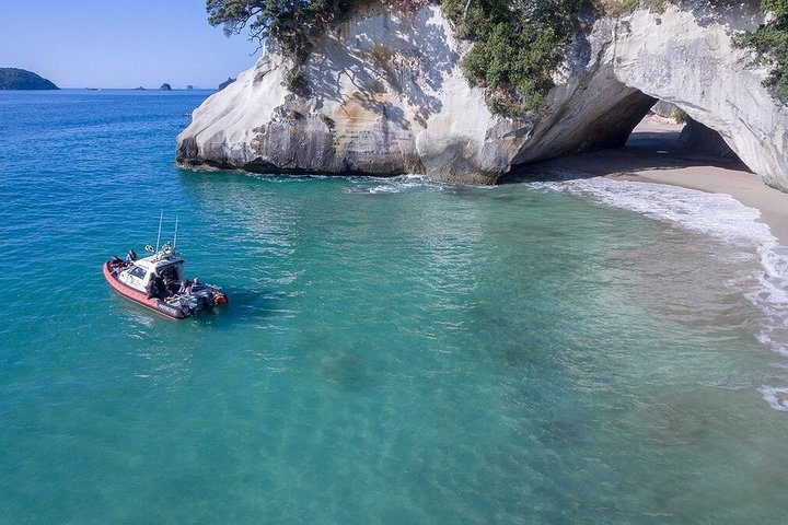 Cathedral Cove Scenic Cruises Explore cavernas e costa