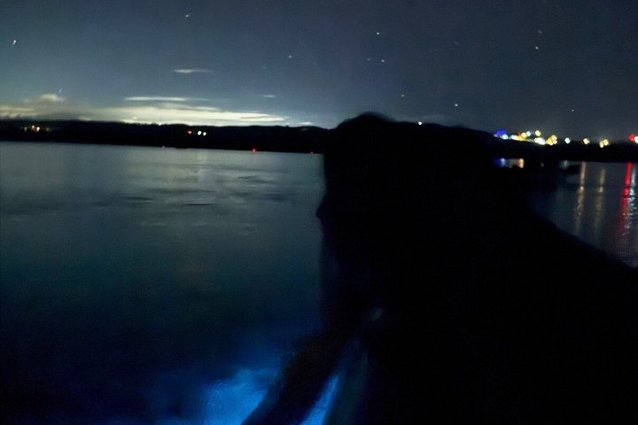Vieques Puerto Rico Kajakupplevelse - Världens ljusaste BioBay
