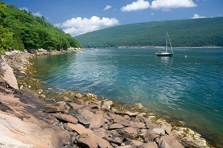 Tour privado de 3 horas por lo mejor de Acadia : Cadillac & Park Loop Road