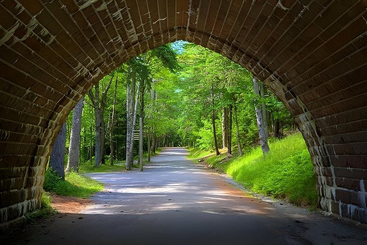 Tour privado de 3 horas por lo mejor de Acadia : Cadillac & Park Loop Road