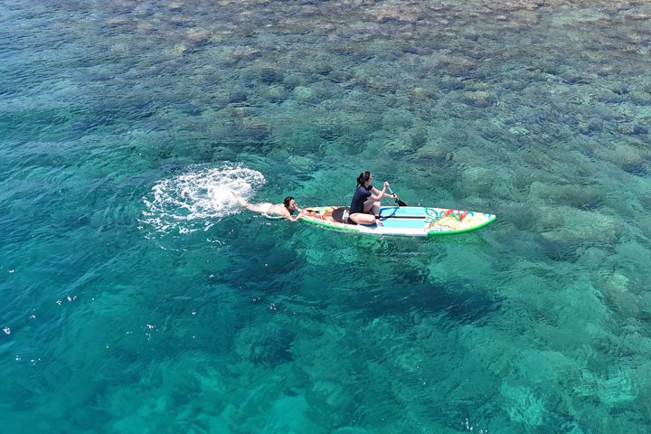 Coral Reef Snorkeling en Floating Bar Party vanuit Nha Trang