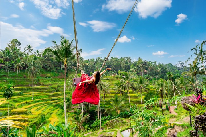 Ubud : Bosque de Monos, Terraza de Arroz, Cueva del Elefante & Tour en Cascada