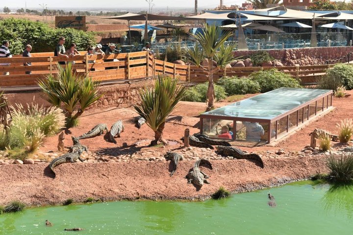 Entradas para el Agadir Crocoparc con traslado de ida y vuelta, todo incluido.