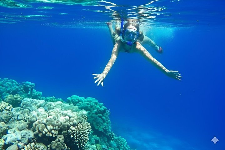 Snorkeling sull'isola di Tiran, crociera subacquea e pranzo - Sharm el Sheik