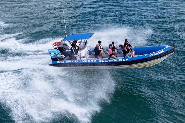 Crucero de avistamiento de ballenas Noosa – Aventura de ballenas jorobadas