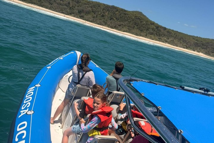 Crucero de avistamiento de ballenas Noosa – Aventura de ballenas jorobadas