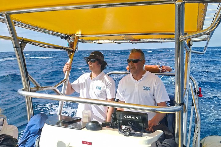 Crucero de avistamiento de ballenas Noosa – Aventura de ballenas jorobadas