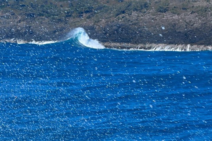 Crucero de avistamiento de ballenas Noosa – Aventura de ballenas jorobadas