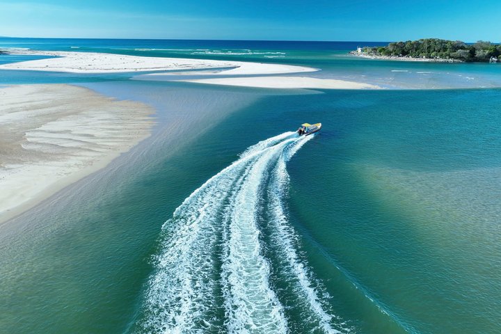 Crucero de avistamiento de ballenas Noosa – Aventura de ballenas jorobadas