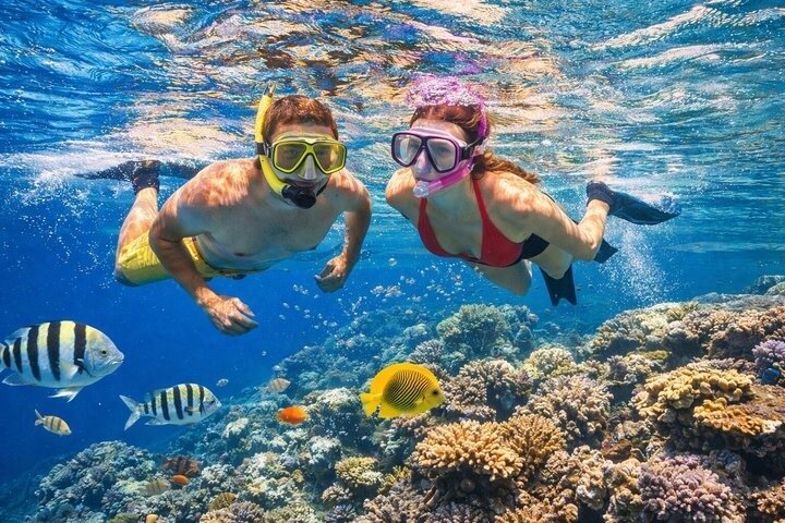 Snorkeling sull'isola di Tiran, crociera subacquea e pranzo - Sharm el Sheik