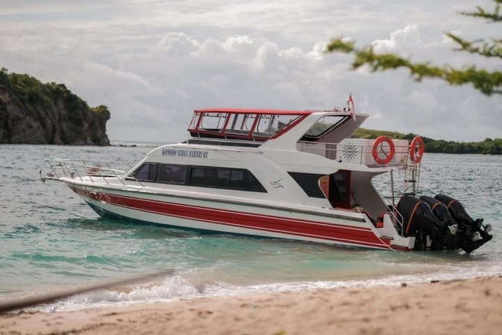 Tour en lancha rápida por el Parque Nacional de Komodo