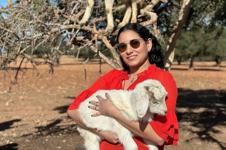 Agadir 3 - in - 1 Tour : Capre sugli alberi Souk El Had Crocoparc Biglietti