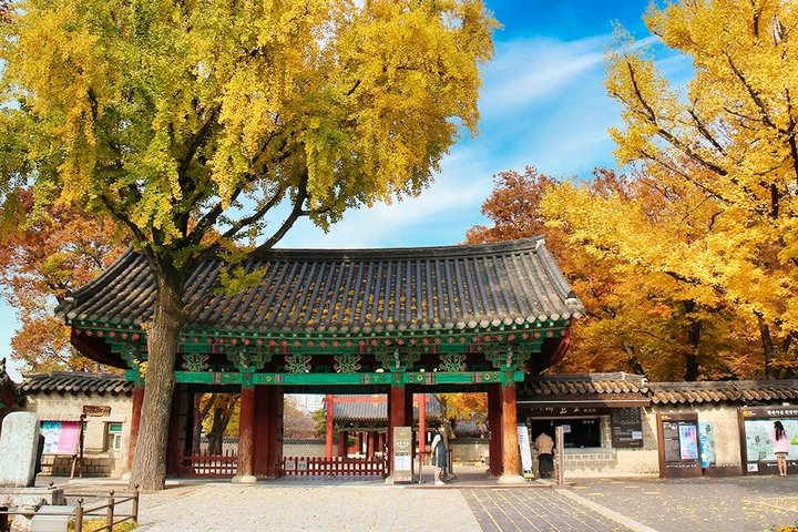 Kultur, Hanbok und lokales Kulturerbe in Jeonju