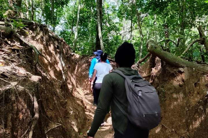 Privat Tayrona Hike till Cabo San Juan : Tvåspråkig Guide + Transport