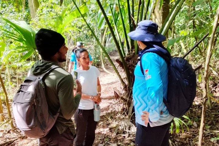 Privat Tayrona Hike till Cabo San Juan : Tvåspråkig Guide + Transport