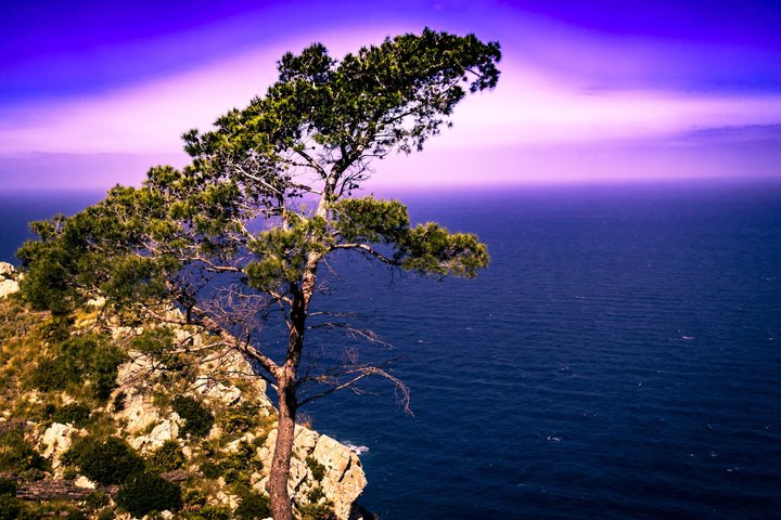 Tour in trike V8 a Maiorca – Costa e Montagne | Crociera tra Costa e Montagne