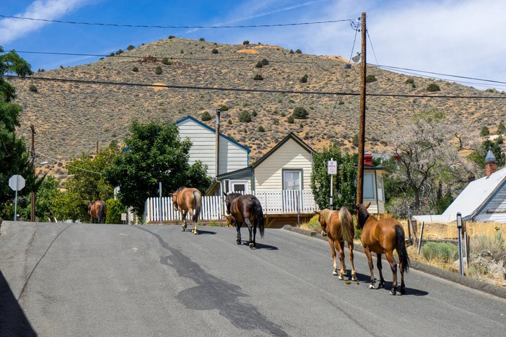 Excursión de medio día al Salvaje Oeste de Virginia City desde Reno | Grupo pequeño