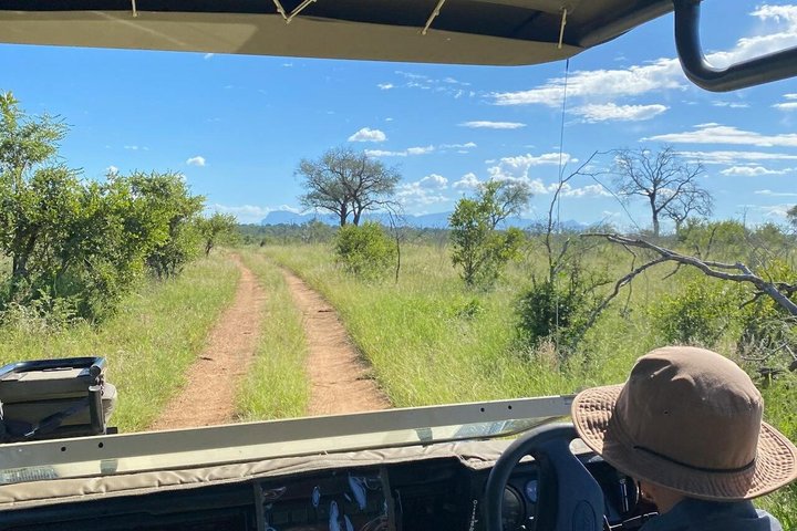 Daressalam : 1 - Tagessafari im Mikumi Nationalpark mit kostenloser Abholung