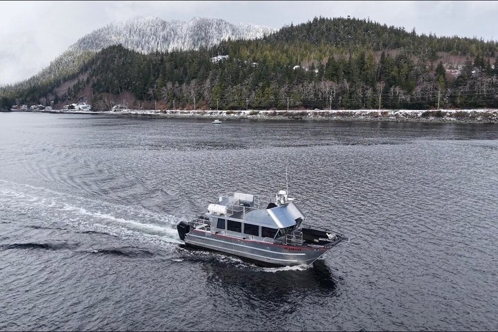 Wale und Mittagessen! Ketchikan's Premier Marine Säugetier Besichtigungstour