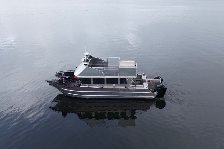 Wale und Mittagessen! Ketchikan's Premier Marine Säugetier Besichtigungstour