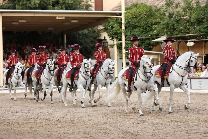 Ridsport Show Royal Stables of Córdoba