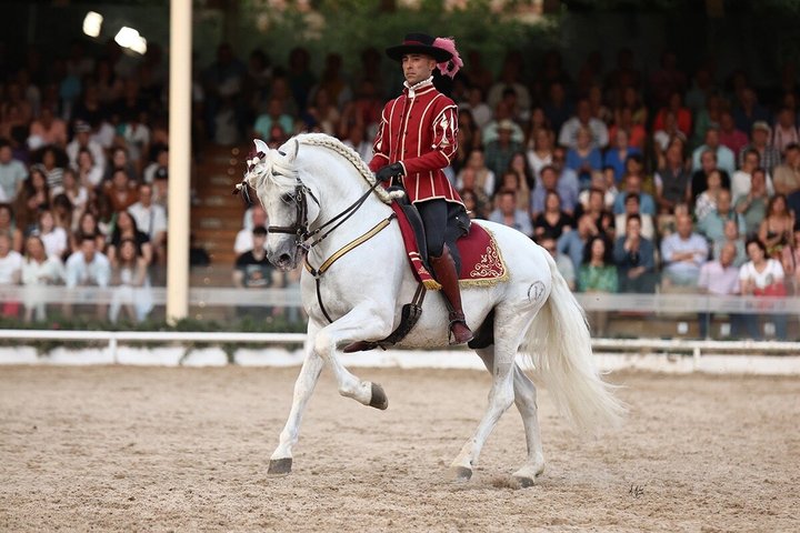 Ridsport Show Royal Stables of Córdoba