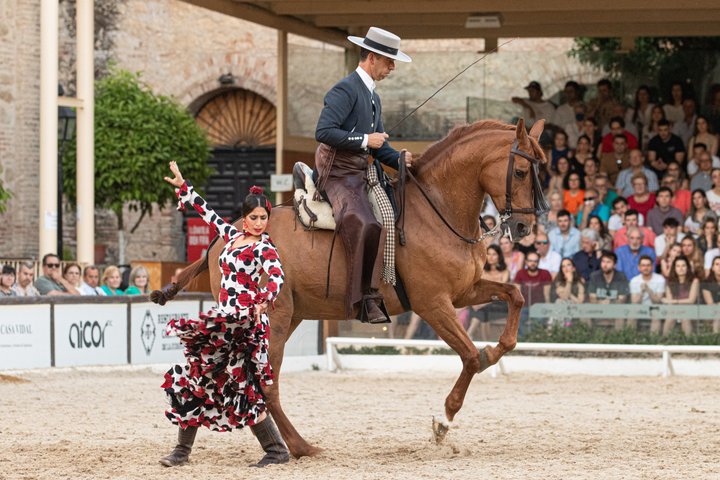 Ridsport Show Royal Stables of Córdoba