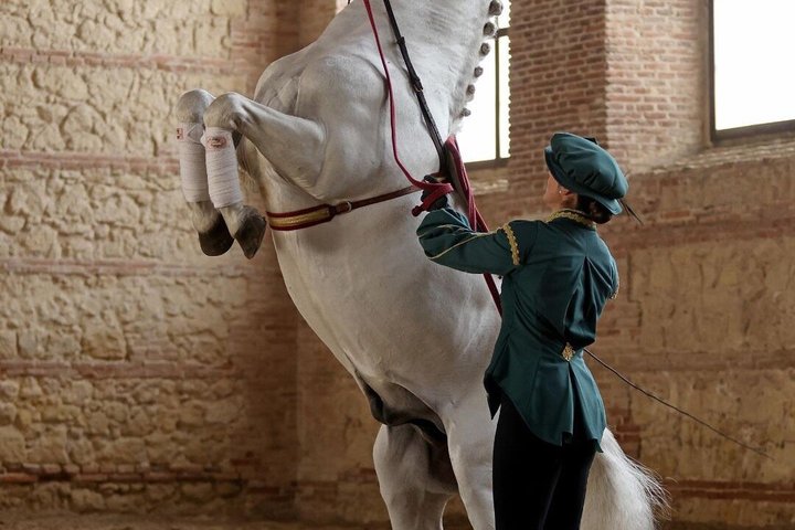 Ridsport Show Royal Stables of Córdoba