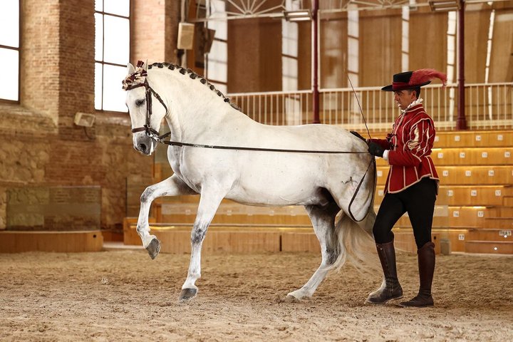 Ridsport Show Royal Stables of Córdoba